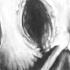 W D Gaster Calamity Undertale Original Voice