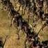 Empire Total War Yankee Doodle Drum And Fife