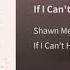 Shawn Mendes If I Can T Have You Audio