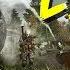 Call Of Duty MWR TDM LIVE STREAM BLACK OPS 4 HYPE TheGebs24