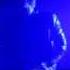 Kavinsky Odd Look Live Lot 613 In Los Angeles Ca 3 9 2013