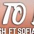 Cash Cash How To Love Ft Sofia Reyes Lyrics