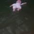 Scary TikTok Don T Watch Alone