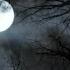 Grim Grinning Ghosts A Short Film