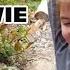 Kid Temper Tantrum Sister Smashes XboxOne The Movie Original 50k Subscribers Special