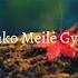 Akvilė Sako Meilė Gydo Bäsello Remix Lyrics