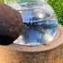 I Crushed A FISH BOWL Into White Sand
