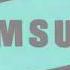 Samsung Logo History In My G Major 19
