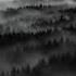 Peter Bark Astral Ecotone Full Album