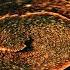 Monophase IT CultureKind Afnan Prince I M Ready Extended Mix