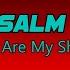 Sons Of Korah Psalm 3 You Are My Shield W Lyrics