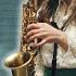 Seal Crazy Saxophone Cover Alexandra Ilieva Thomann