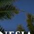 Dan Gibson S Solitudes The Coconut That You Gave Me Polynesian Spa