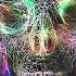 Bass House Low Bass KAYF Mix 2021