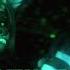 MONEY MONEY GREEN GREEN 3D Animation Meme