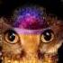 Galantis Gold Dust Extended Mix