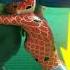 Ladybug S Yoyo Lost Its Spots Miraculous Miraculousladybug