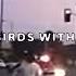 UICIDEBOY Killing 2 Birds With 22 Stones Lyric Video