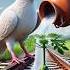 A Big Pigeon Plants A Papaya Tree On A Train Track And Gives It Lots Of Water Ai Pigeon Winner