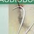 Top 10 Aurora Rose Reynolds Audible Audiobooks 2019 Starring Until Harmony Until Her Until Him