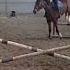 Topper Die Armani