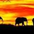 Good Morning Music VR 360 Positive Vibrations 528Hz The Deepest Healing Boost Your Vibration