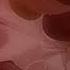 Nicopatty Awful W Lyrics Slowed Reverb