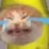 Crying Banana Cat Meme 10 Hours
