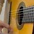 Ispanskiy Boy Guitar Guitarcover
