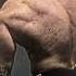 испугался не бойся спорт Gym Edit качалка самурай