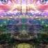 Psychill HEALING SHAMANOIDS Compiled By Mystical Voyager Full Album