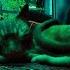 STRAY LOFI RELAX SONG 1 HOUR CAT SIMULATOR