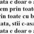 Amna Viata E O Aventura Versuri Lyrics
