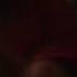 No I Dont Wanna Watch The Simpsons Sparta Madhouse Zozey Editon