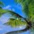 Phil Collins Another Day In Paradise Fabio Maxi 2011 Mix