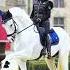 Porsche Or Horse For Me Horse Equestrianjourney Equestrian Viralsong Dressage Porsche