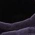 Steve Angello Payback Kevin De Vries Cassian Remix Ayma Sphere Las Vegas