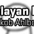 Himalayan Moon Jakob Ahlbom Dream 2 0