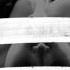 ZHU Faded Attila Santa Mashup