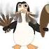 Los Pingüinos Me La Man A Mascar Animation Shorts Art