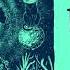 The Organism Root Eleatics Records