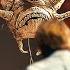 A Malevolent Creature Fastens A Zipper Onto A Man And Enters His Body Full Movie