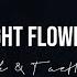 Night Flower Jungkook TaeHyung AI