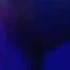 Electrocity Black Light