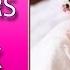 12 HOURS Of PINK NOISE Get Baby To Sleep Fast Calms Crying Babies Colic Etc
