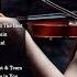 Best Violin Covers Of Popular Songs 2020 Violin Covers Of Popular Love Songs