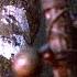 Predator 1987 Predator Vs Dutch Scene 3 5 Movieclips
