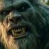9 Strange Bigfoot Encounters That No One Can Explain