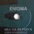 Enigma Mea Culpa Part II Fading Shades Mix