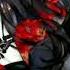 No Resolve What You Deserve Nightcore